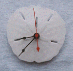 Sand Dollar Clock