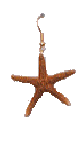 Starfish earring